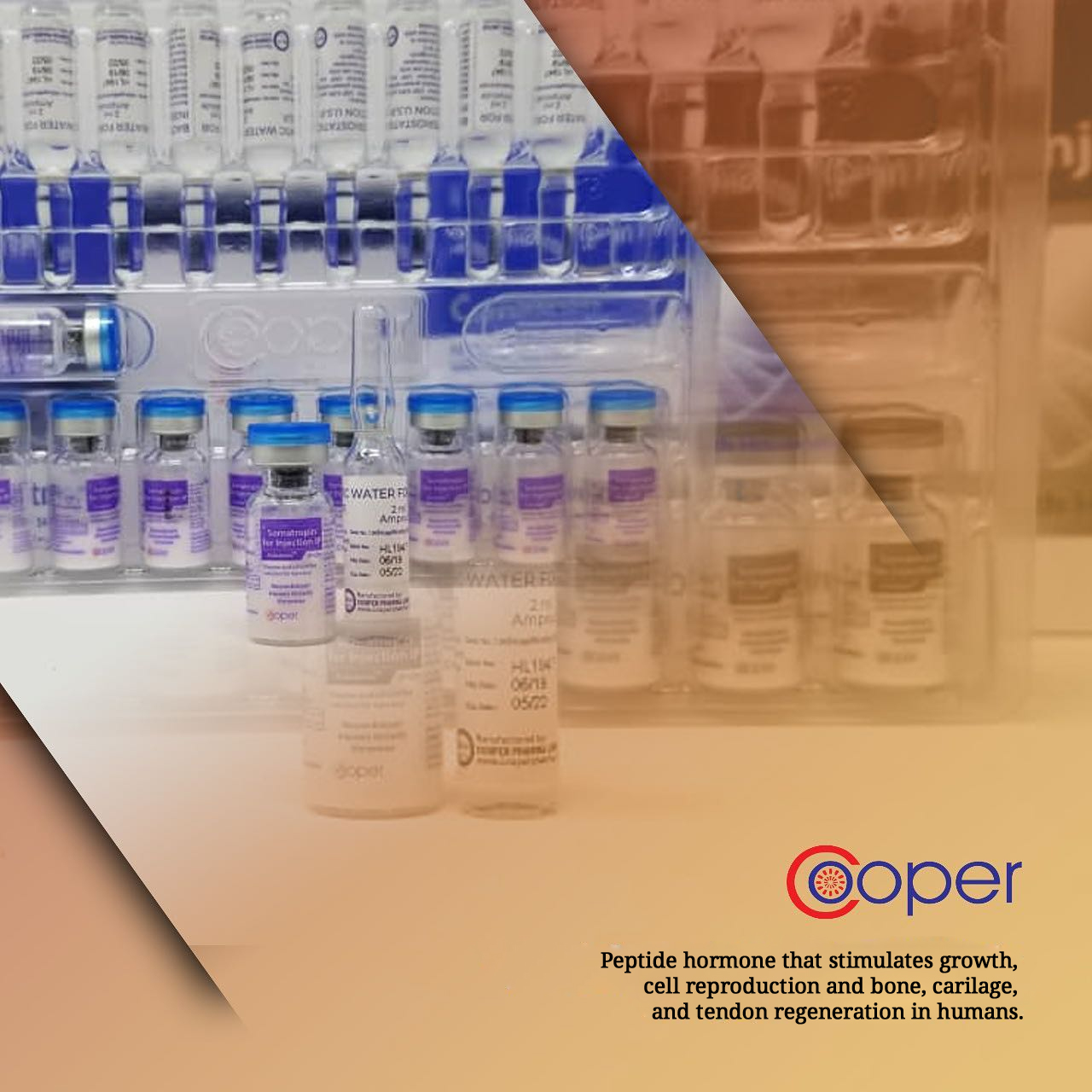 Cooper Pharma s Domestic Products  Providing Quality Healthcare Solutions at Home