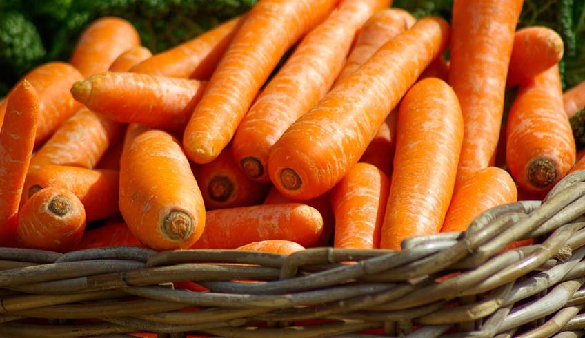 Carrots are healthy, but active enzyme unlocks full benefits