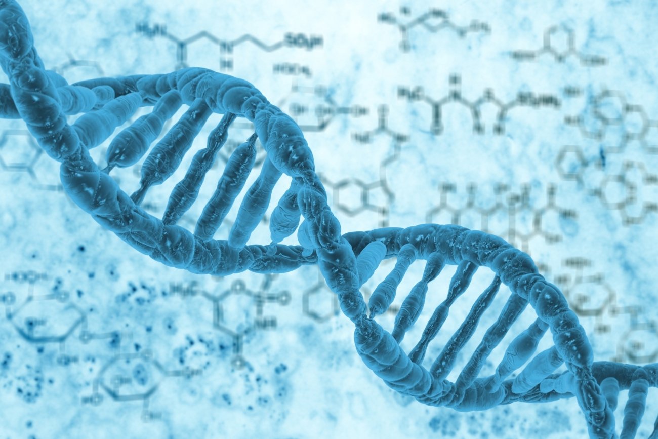 How hormones affecting the DNA (Deoxyribonucleic acid ) ?