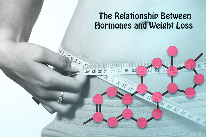 The Relationship Between Hormones and Weight Loss