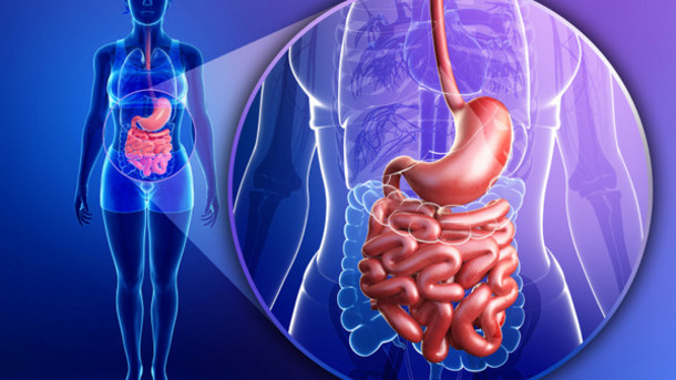 Whatâ€™s the Connection Between Probiotics and Digestive Health?